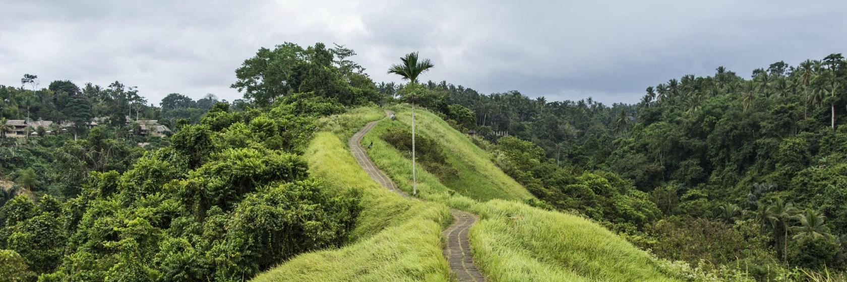 Campuhan fjellryggsti
